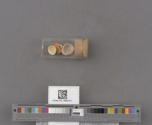 NSF ADBC EPICC TCN