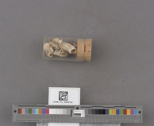 NSF ADBC EPICC TCN