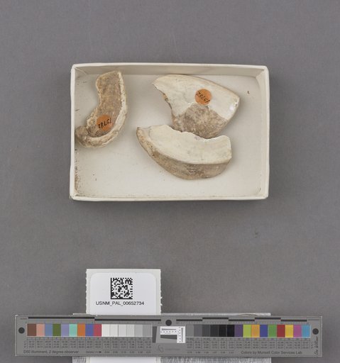 NSF ADBC EPICC TCN