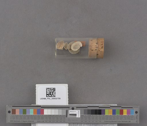 NSF ADBC EPICC TCN