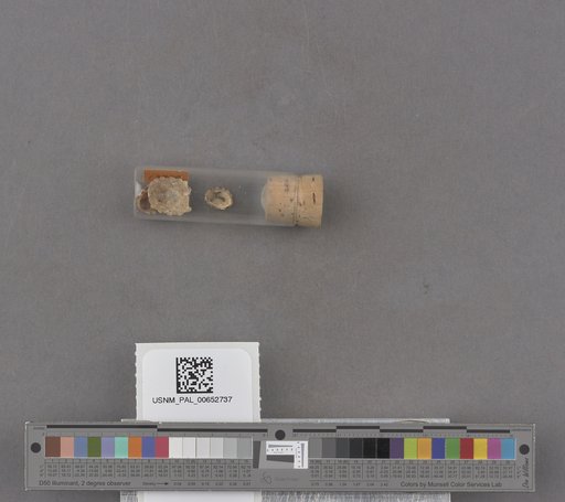 NSF ADBC EPICC TCN
