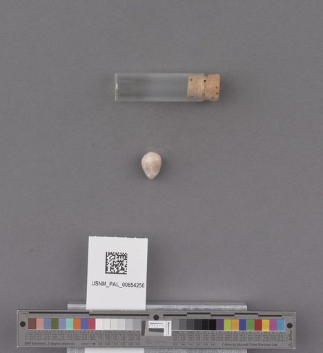 NSF ADBC EPICC TCN