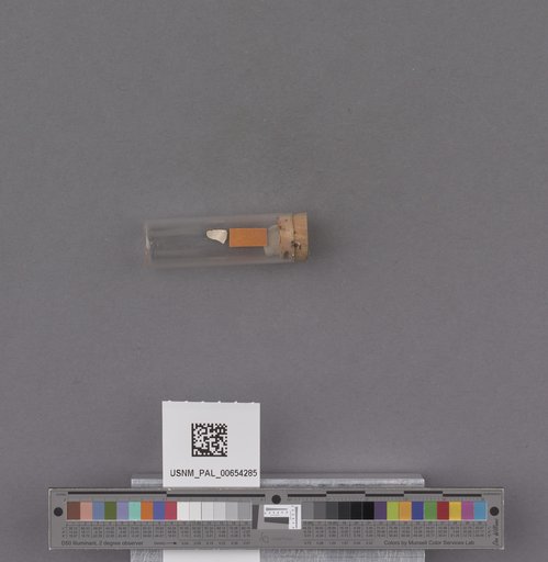 NSF ADBC EPICC TCN