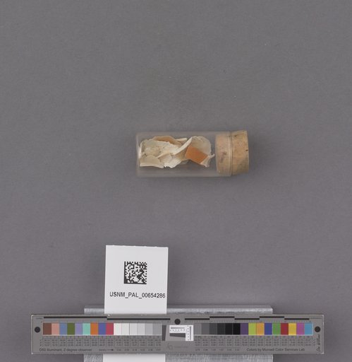 NSF ADBC EPICC TCN