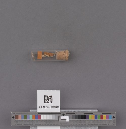 NSF ADBC EPICC TCN