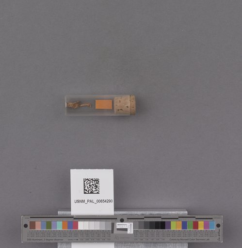 NSF ADBC EPICC TCN