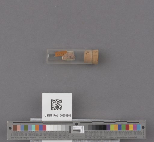 NSF ADBC EPICC TCN