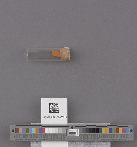 NSF ADBC EPICC TCN