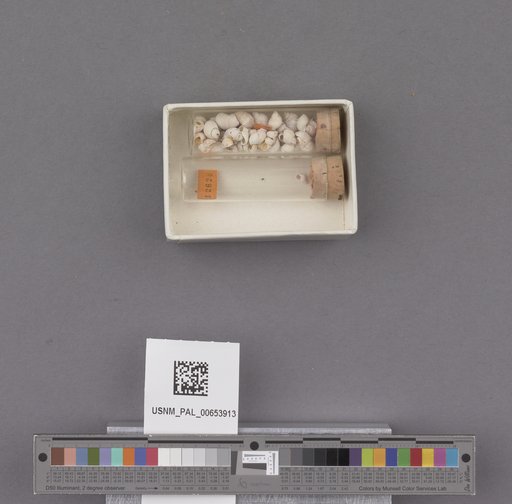 NSF ADBC EPICC TCN
