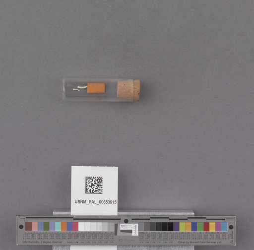 NSF ADBC EPICC TCN