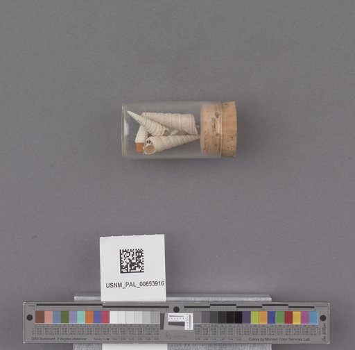 NSF ADBC EPICC TCN