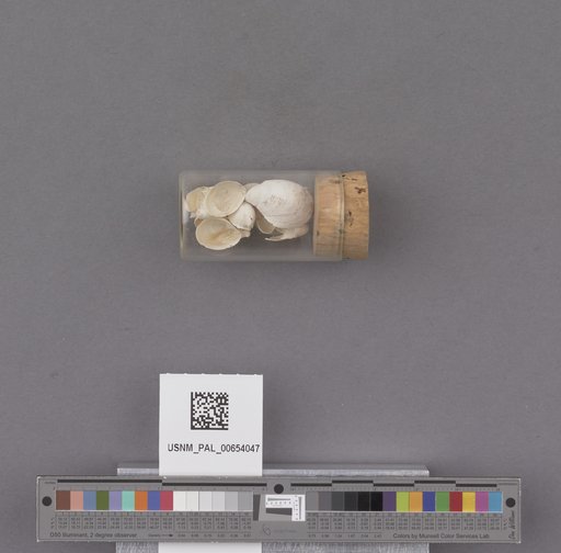 NSF ADBC EPICC TCN