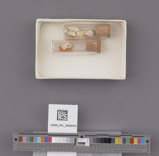 NSF ADBC EPICC TCN