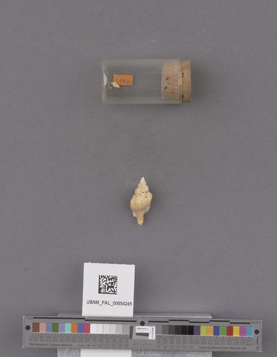 NSF ADBC EPICC TCN