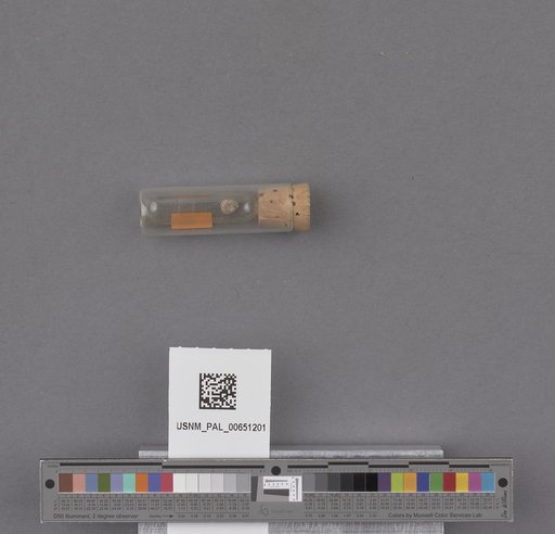 NSF ADBC EPICC TCN