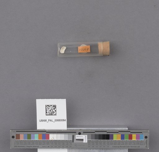 NSF ADBC EPICC TCN