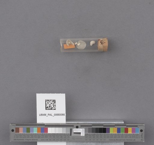 NSF ADBC EPICC TCN