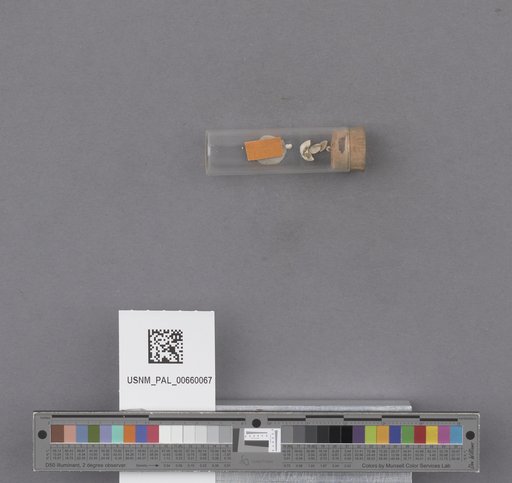 NSF ADBC EPICC TCN