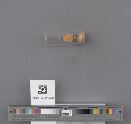 NSF ADBC EPICC TCN