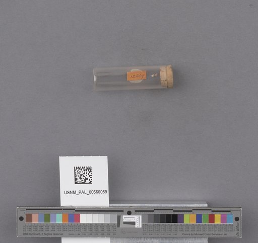 NSF ADBC EPICC TCN