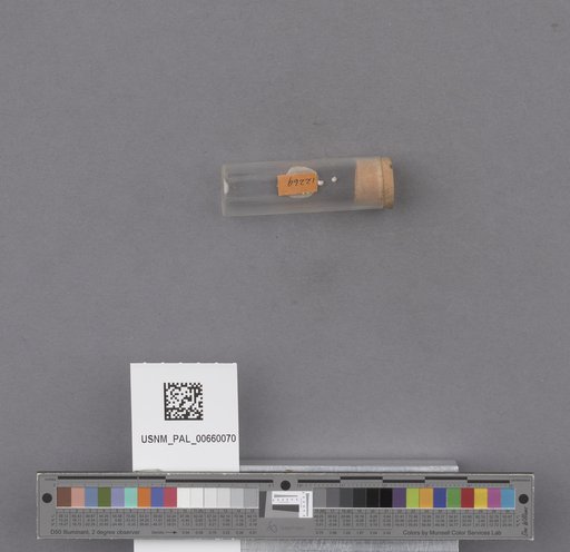 NSF ADBC EPICC TCN