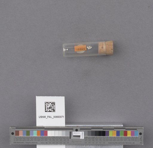 NSF ADBC EPICC TCN