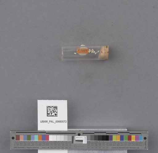 NSF ADBC EPICC TCN