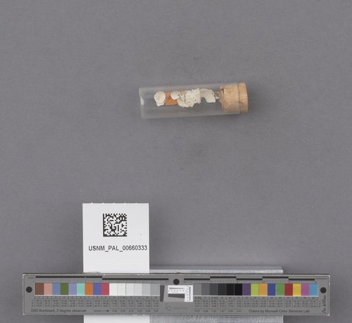 NSF ADBC EPICC TCN