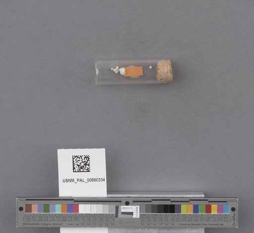 NSF ADBC EPICC TCN