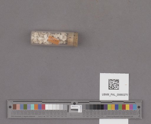 NSF ADBC EPICC TCN