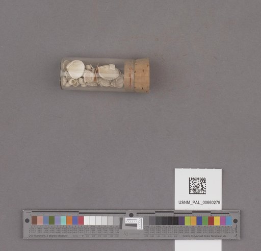 NSF ADBC EPICC TCN