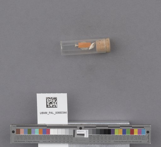 NSF ADBC EPICC TCN