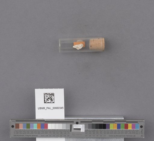 NSF ADBC EPICC TCN