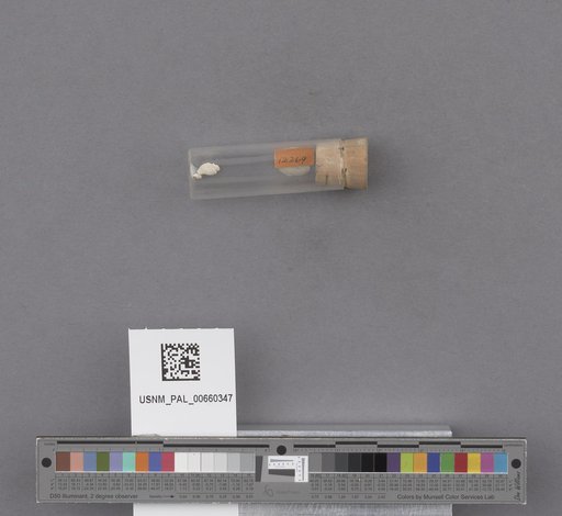 NSF ADBC EPICC TCN