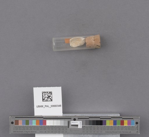 NSF ADBC EPICC TCN