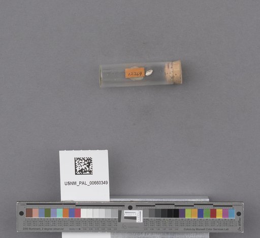 NSF ADBC EPICC TCN