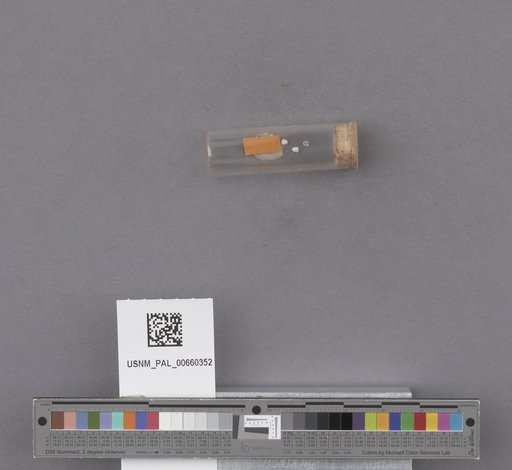 NSF ADBC EPICC TCN