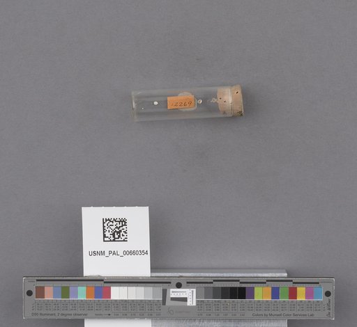 NSF ADBC EPICC TCN