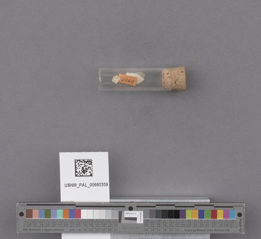 NSF ADBC EPICC TCN
