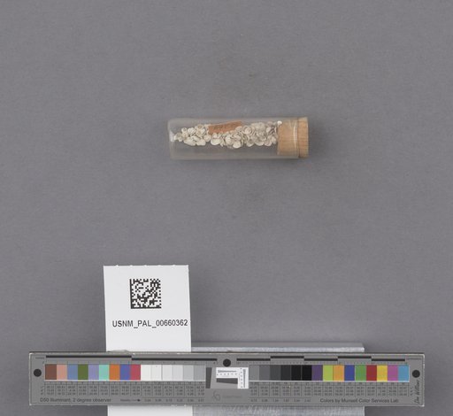NSF ADBC EPICC TCN