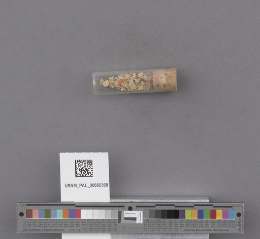 NSF ADBC EPICC TCN