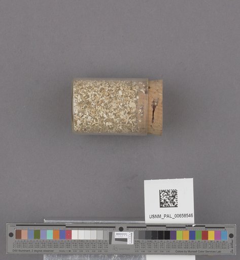 NSF ADBC EPICC TCN