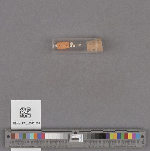NSF ADBC EPICC TCN