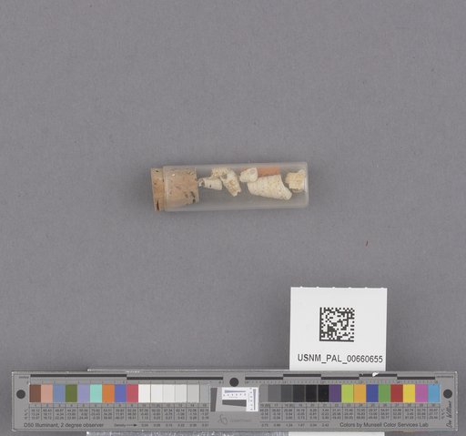 NSF ADBC EPICC TCN
