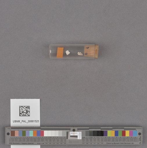 NSF ADBC EPICC TCN