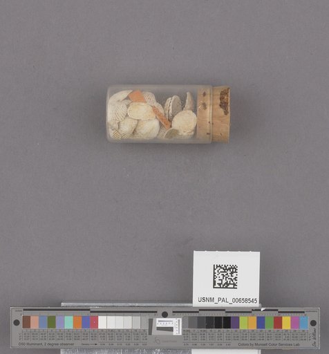 NSF ADBC EPICC TCN