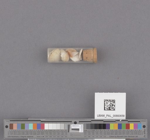 NSF ADBC EPICC TCN