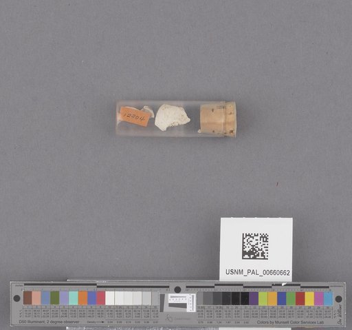 NSF ADBC EPICC TCN