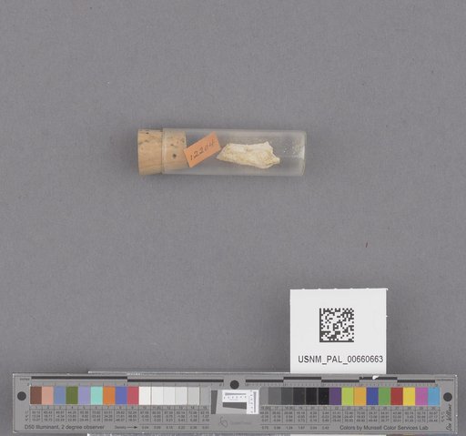 NSF ADBC EPICC TCN