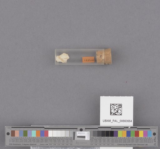 NSF ADBC EPICC TCN